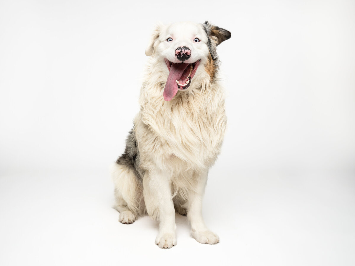 Website3500-DSC01810