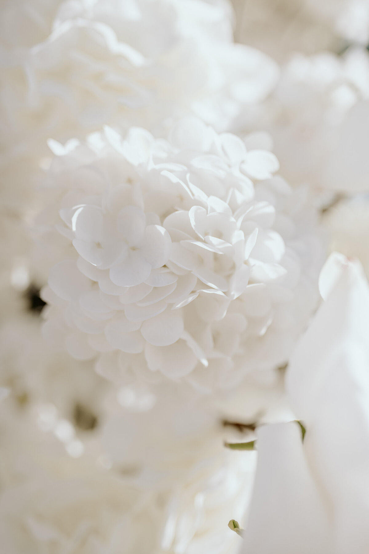 Florals_CircleArch-27