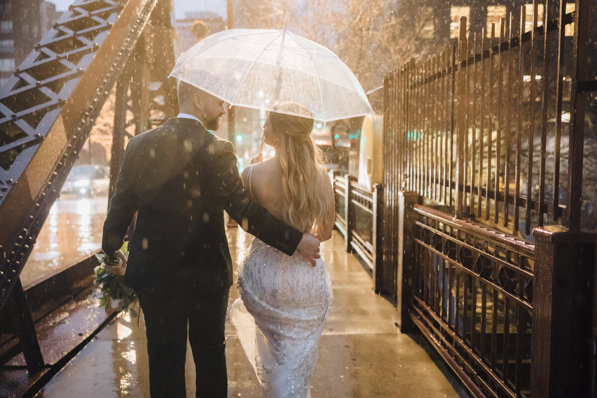 Ed and Aileen Photography Chicago Illinois Digital Film Wedding Engagement Photographers Destination 10