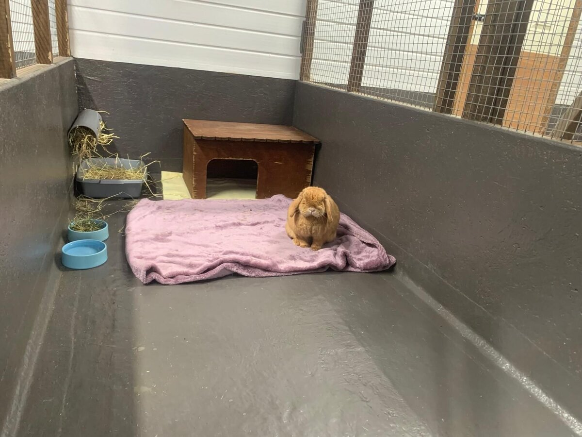 PHOTO-2025-10-17-11-47-22