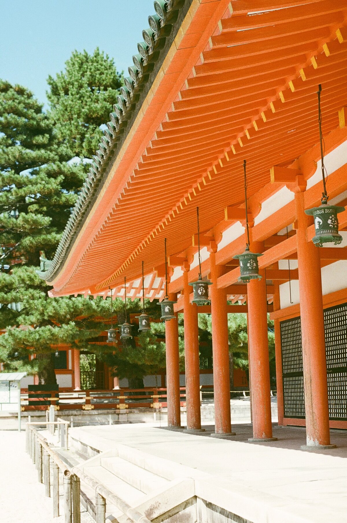 Rainstone Photography 241031 Japan & Seoul Trip-49
