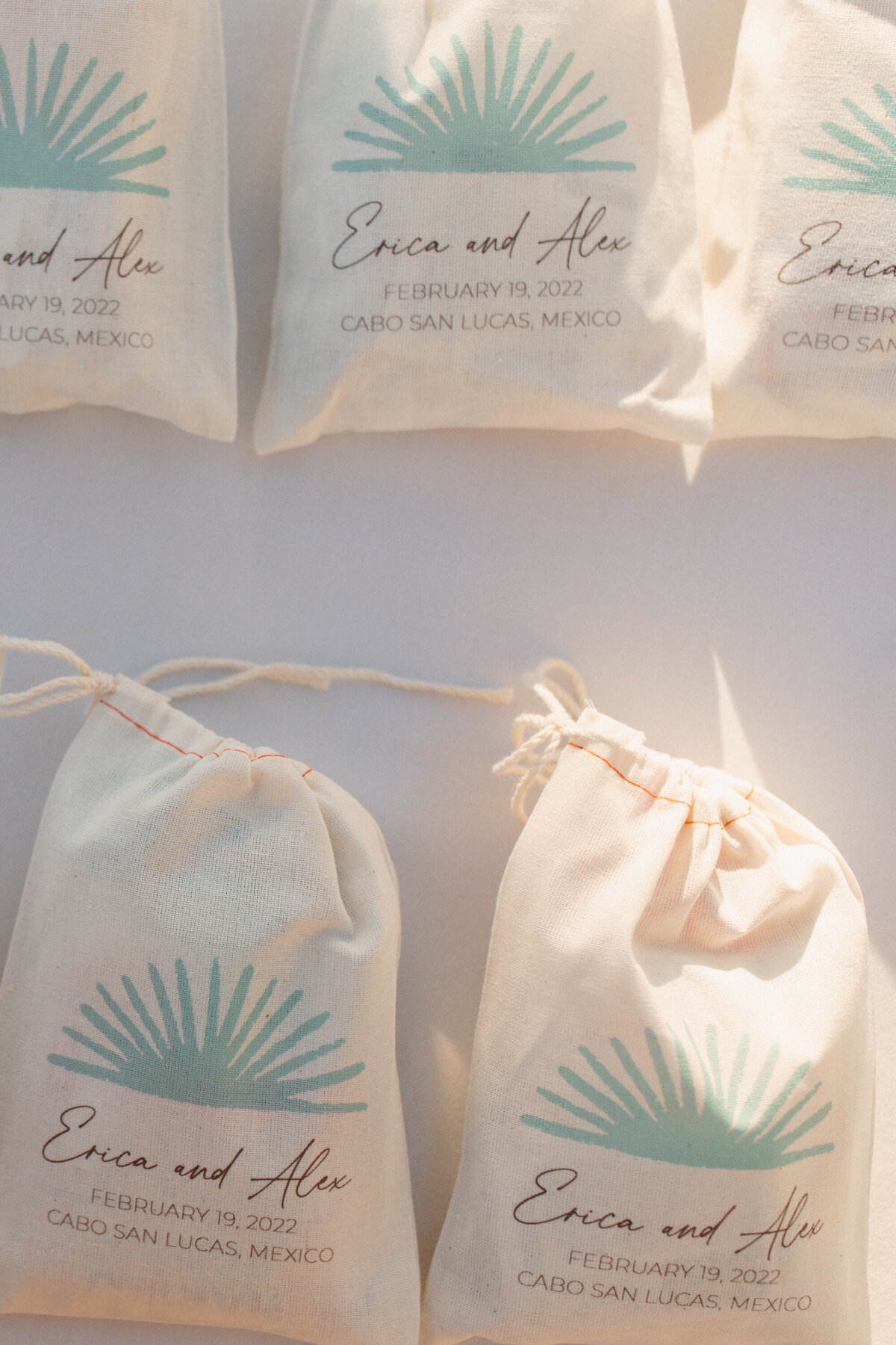 Cabo-San-Lucas-Wedding