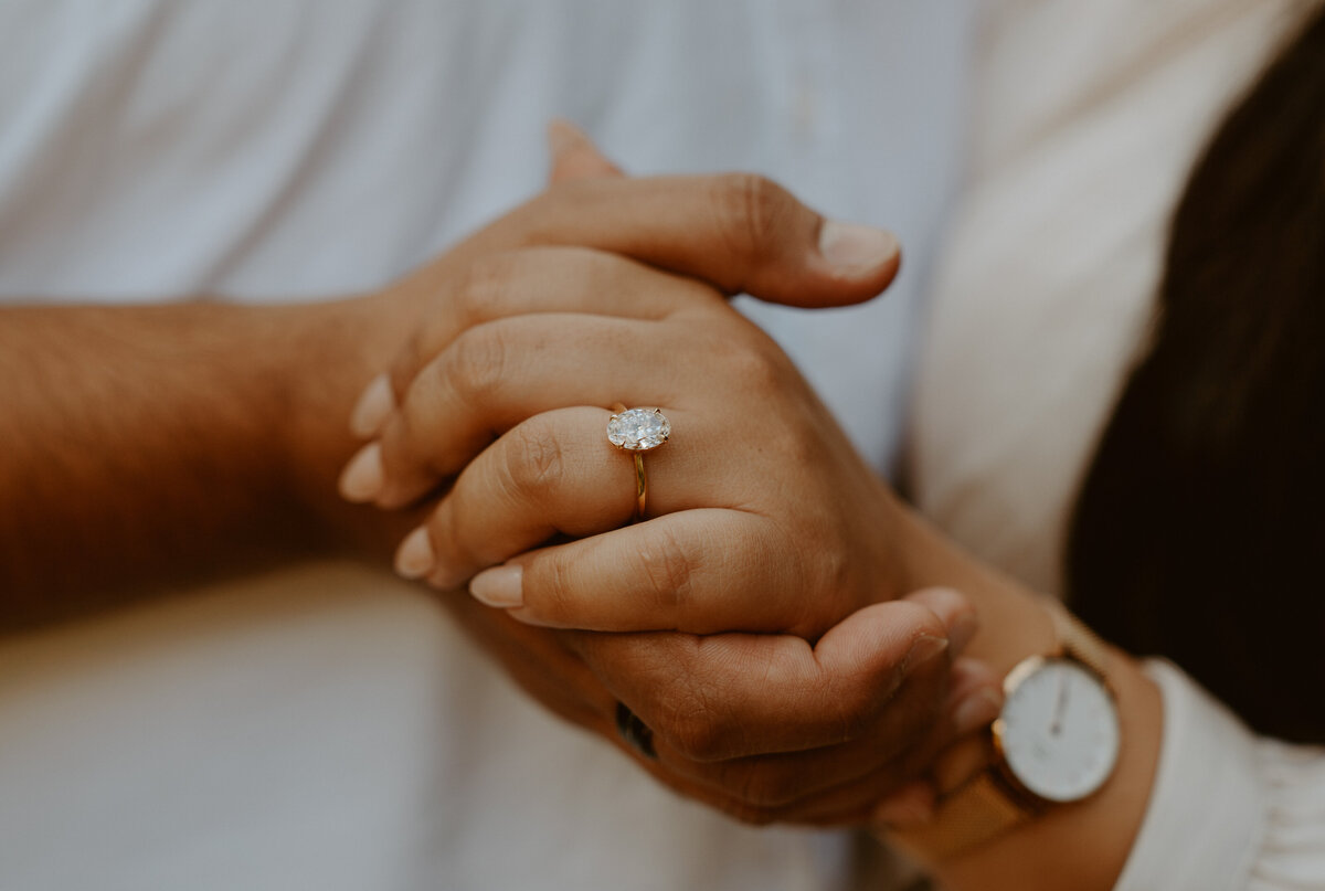 Ash + Puja Blue Mountains Engagement Daisy + Pine Weddings Photography-02109