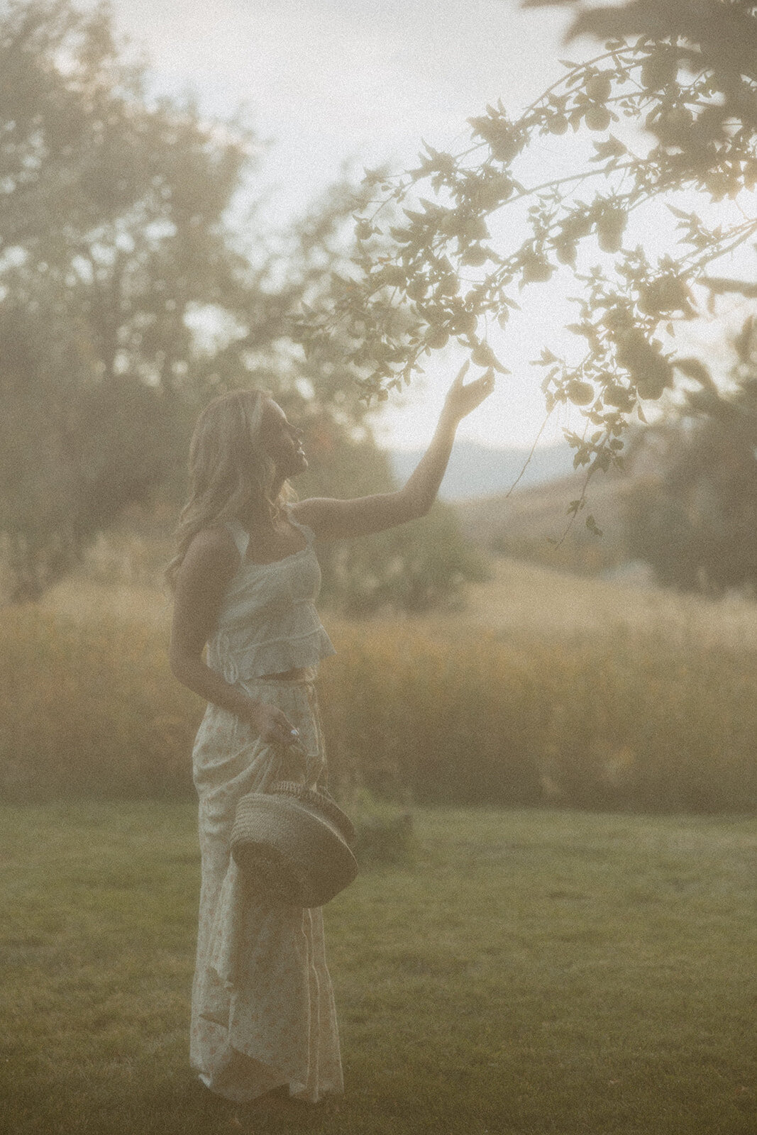 tanya-davids-photo-film-documentary-idaho-utah-oregon-washington-colorado-wedding-elopement-portrait-photographer-intention-session-apple-orchard-74
