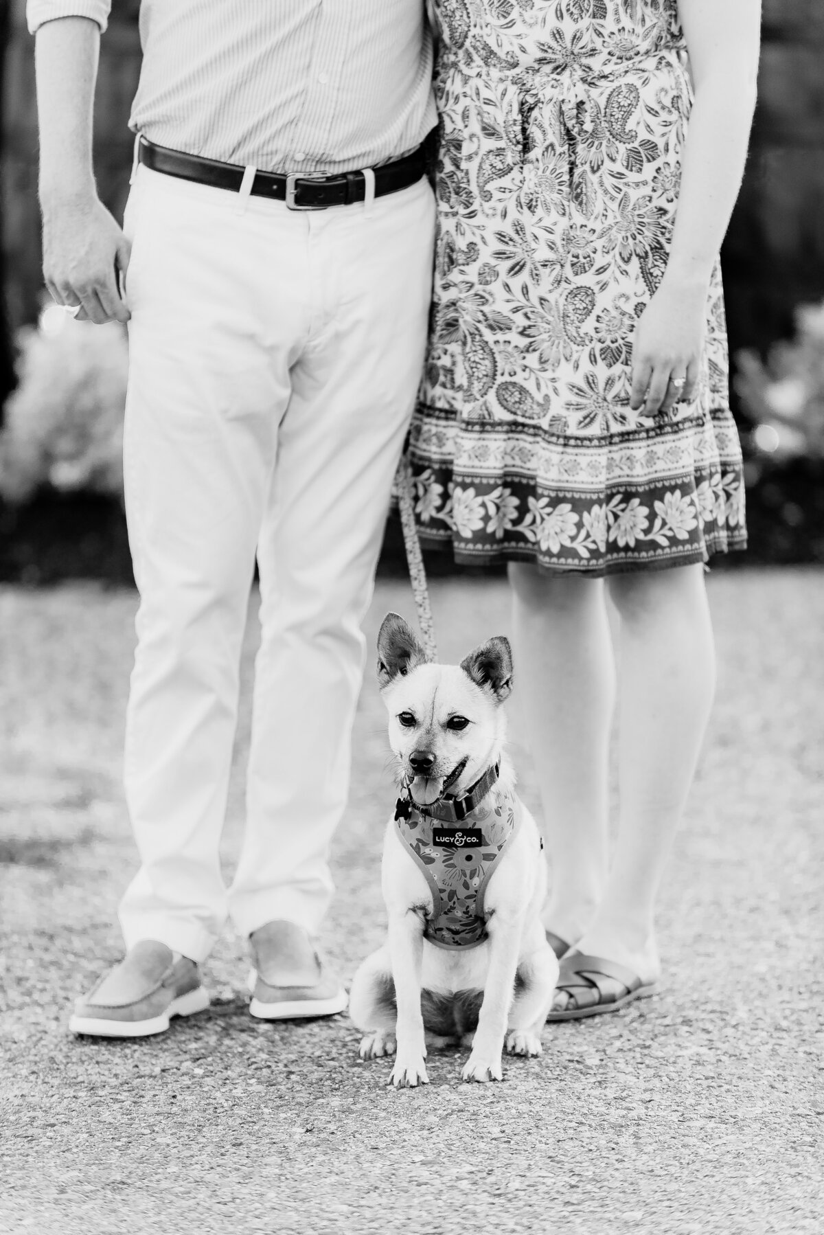 20230720_Dan&Gillian_Esesh_Renault-226