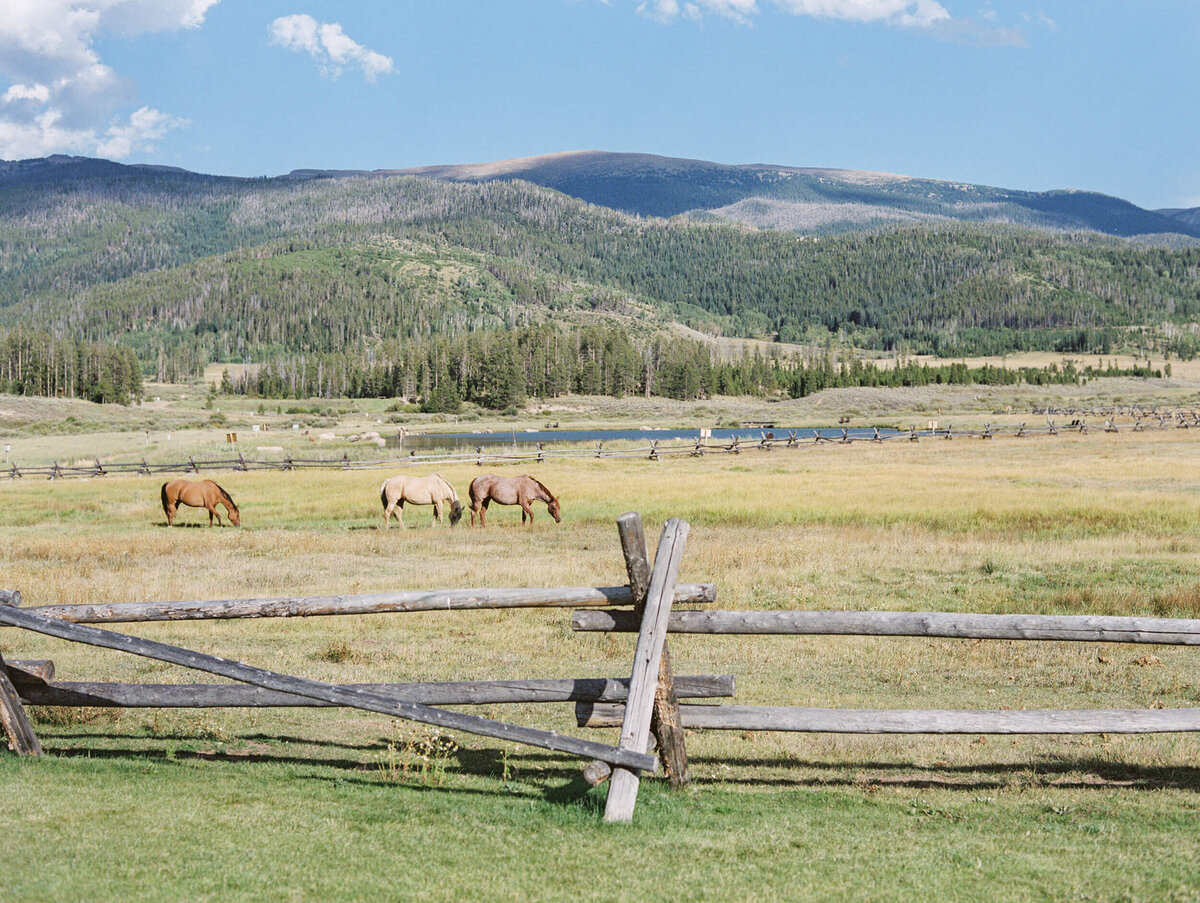 Devils-Thumb-Ranch-Wedding-Photographer-0008