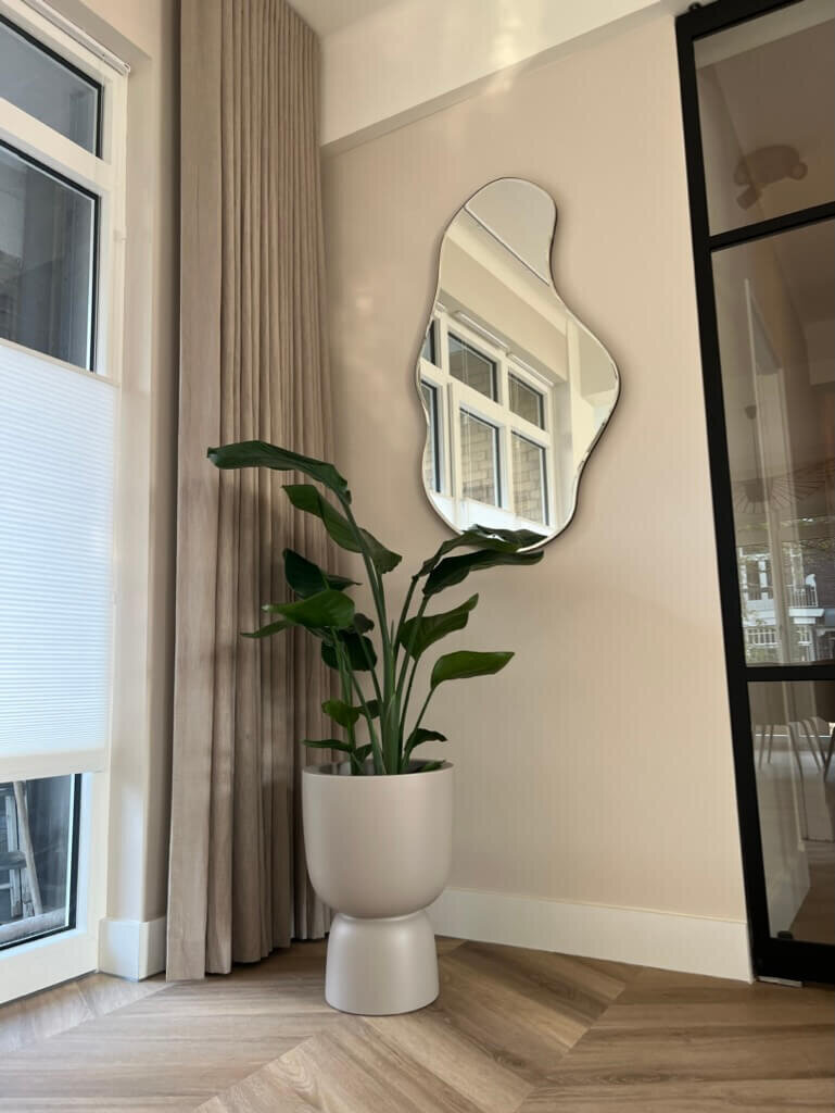 plant en spiegel