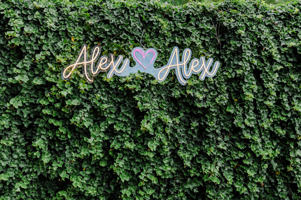 Alex_Alex_Wedding-1656
