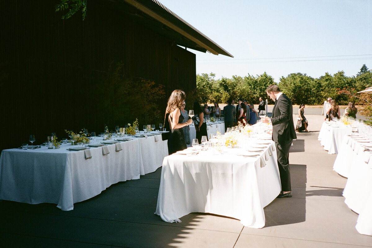 furioso-vineyard-wedding-f-182