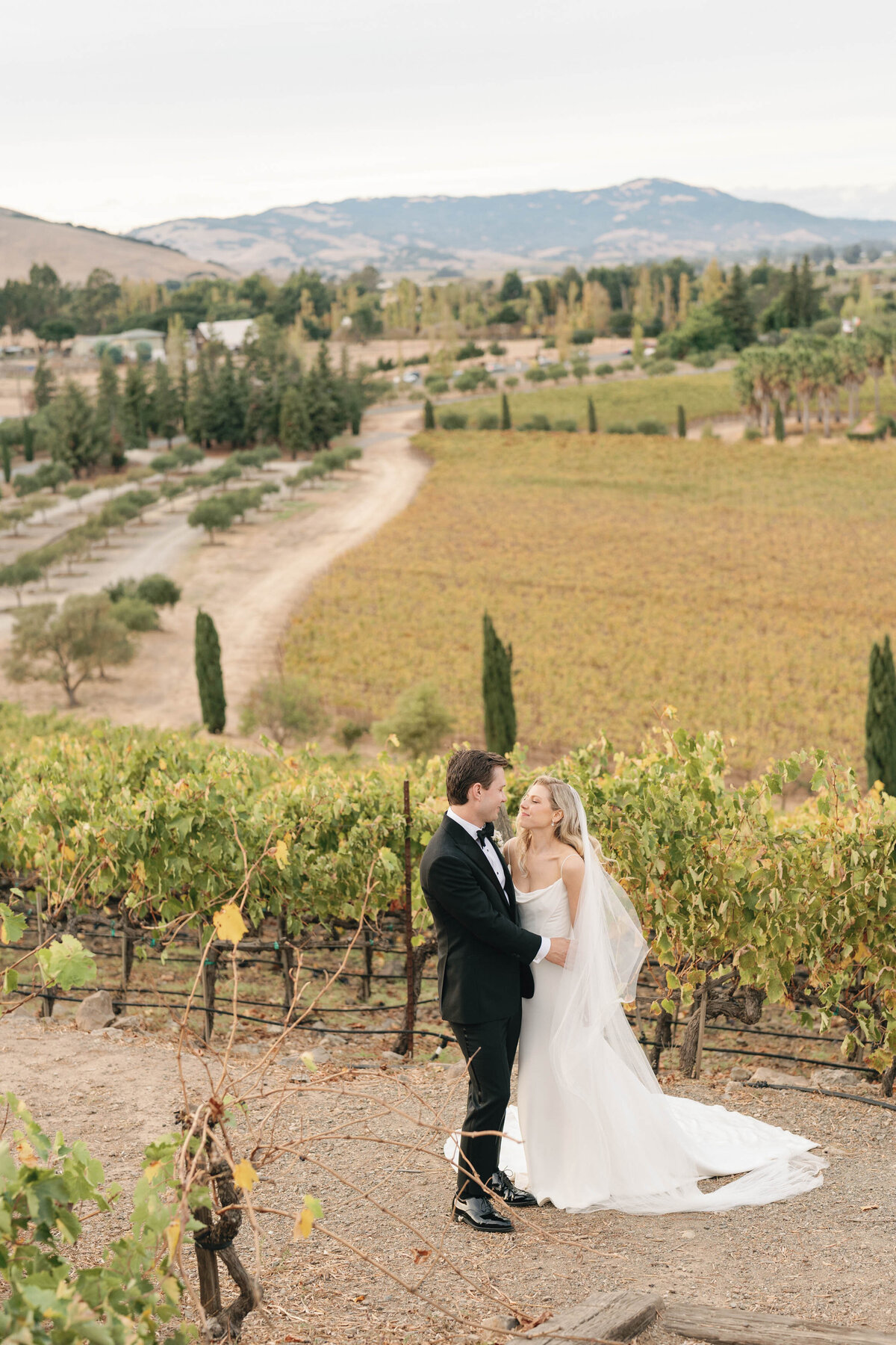 Viansa-Sonoma-Wedding-86