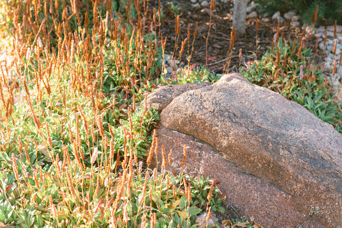 Brand-Photography-Longmont-Colorado-Landscape-Architect-61