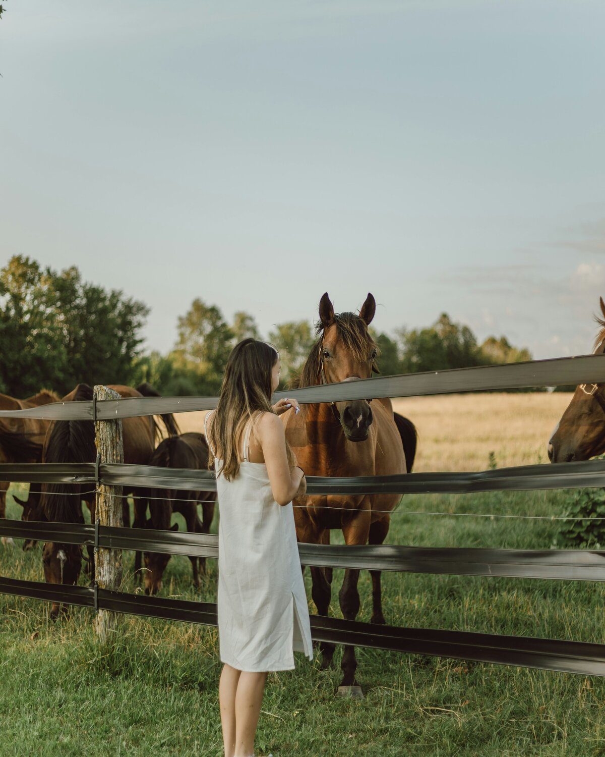 jasmin-chew-c87-xCBZt-o-unsplash