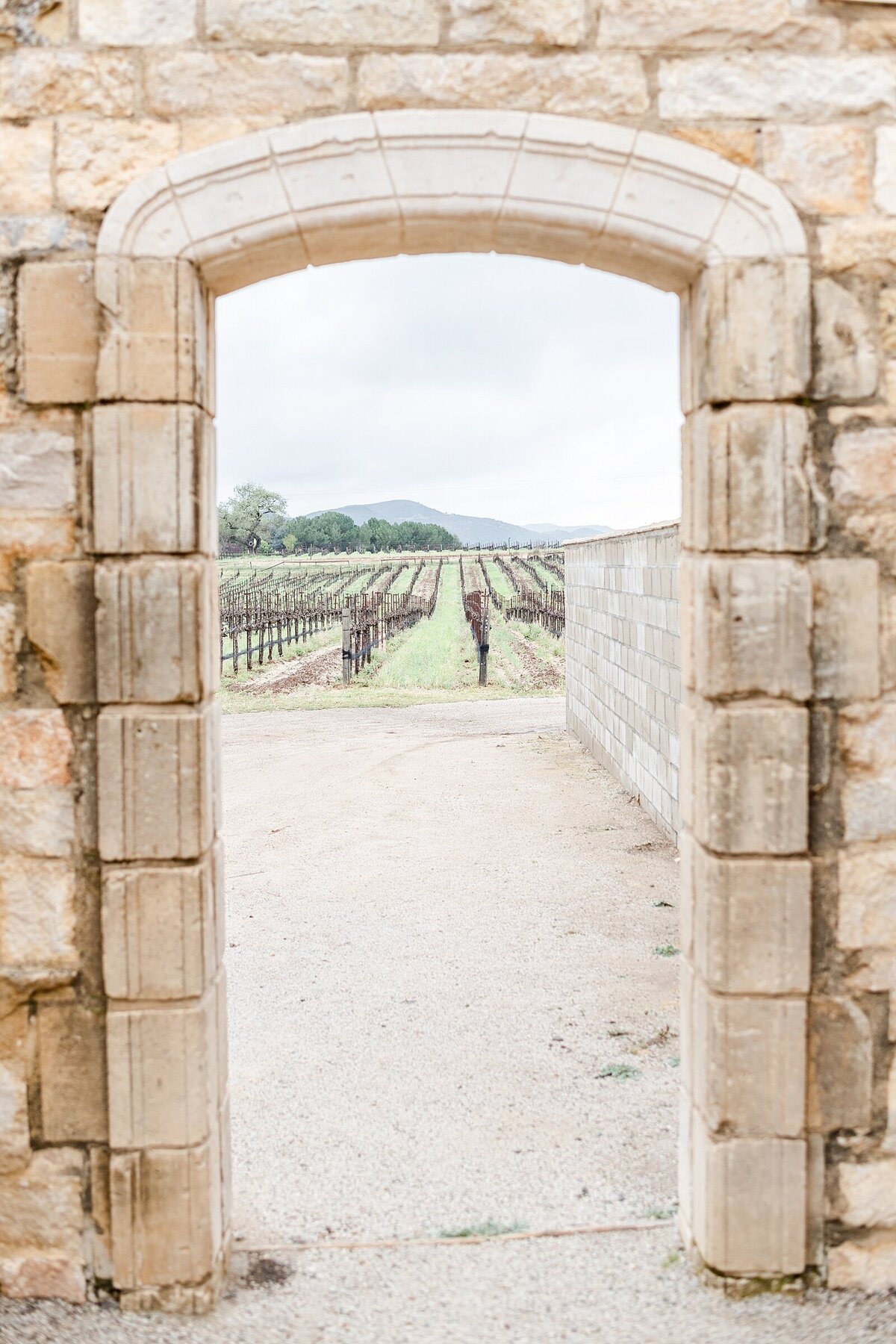 Melissa & Arturo Photography | Sunstone Winery  - Miguel Garcia's Workshop - Venue & Details 4