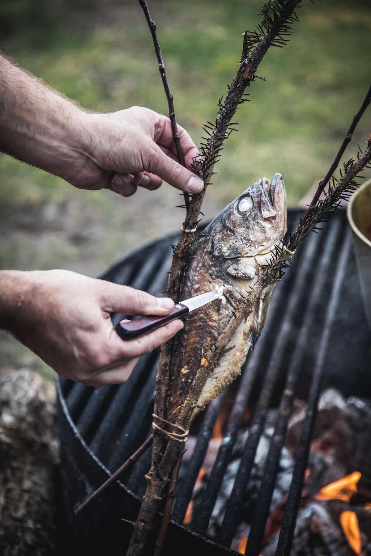 Tournant x Taylor Stitch Large Web22