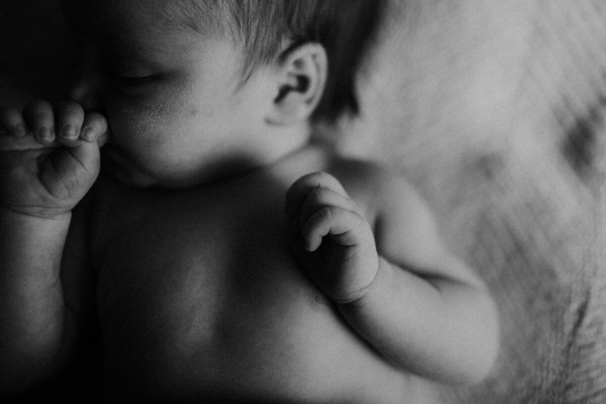 Lili Bs Photography-76 (4)