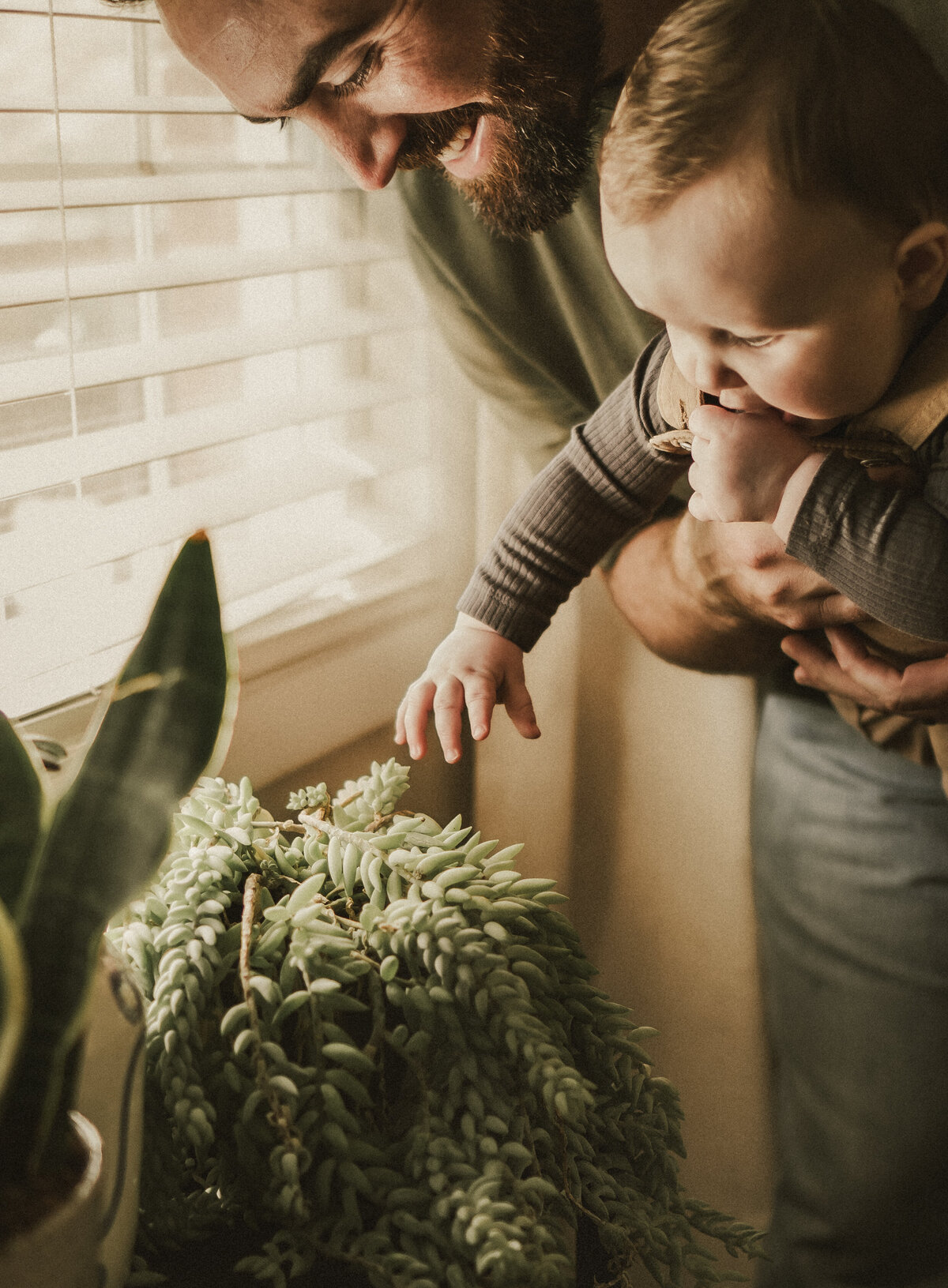 cincinnati-newborn-photographer-243