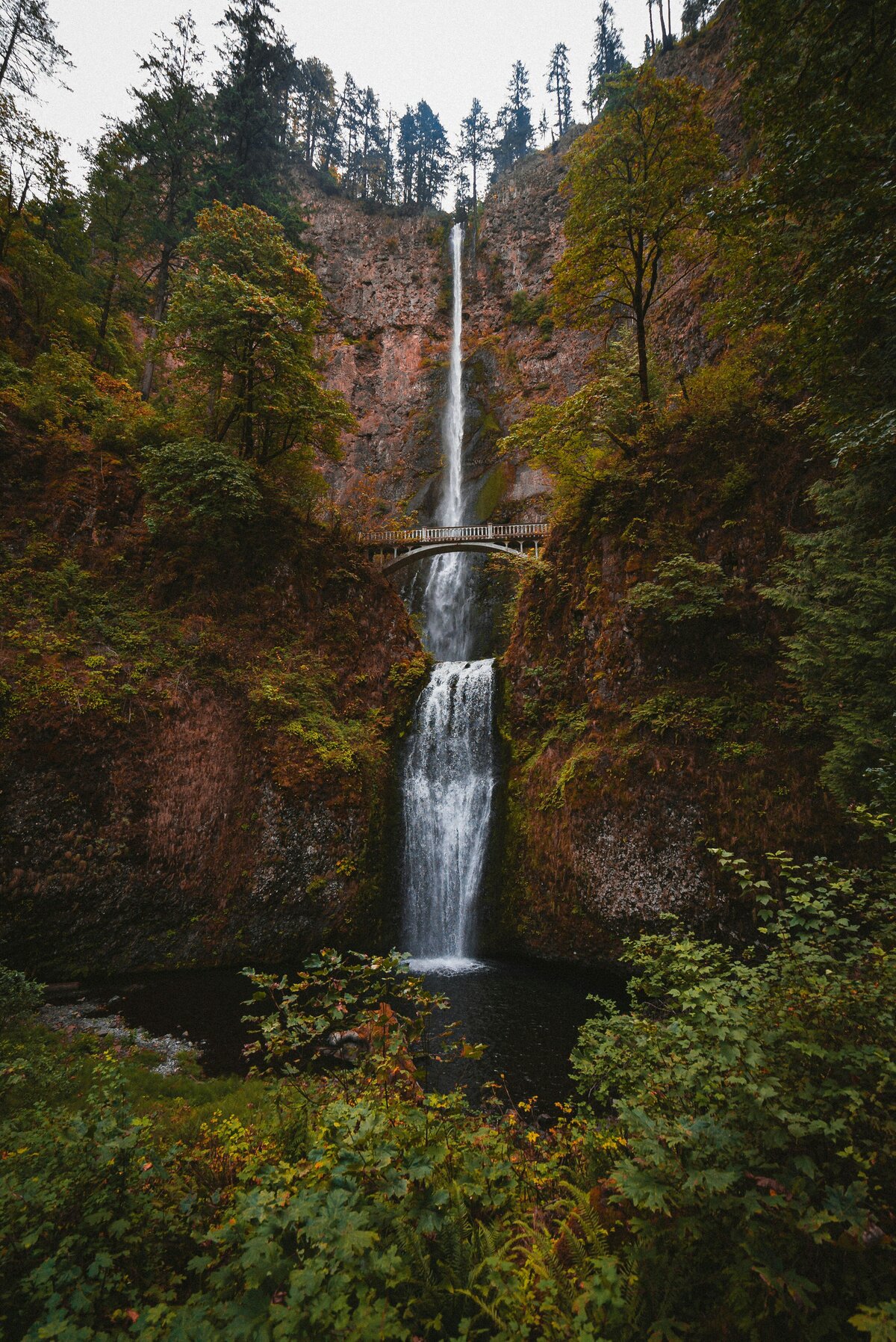karsten-winegeart-P-MC3Ojc7B0-unsplash