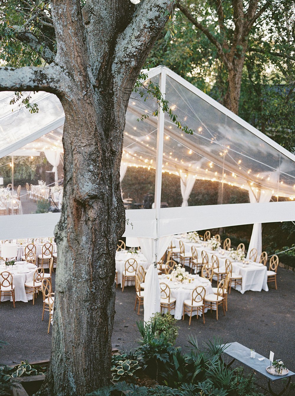 washington dc virginia estate atlanta fine art film wedding hannah forsberg destination wedding photographer085