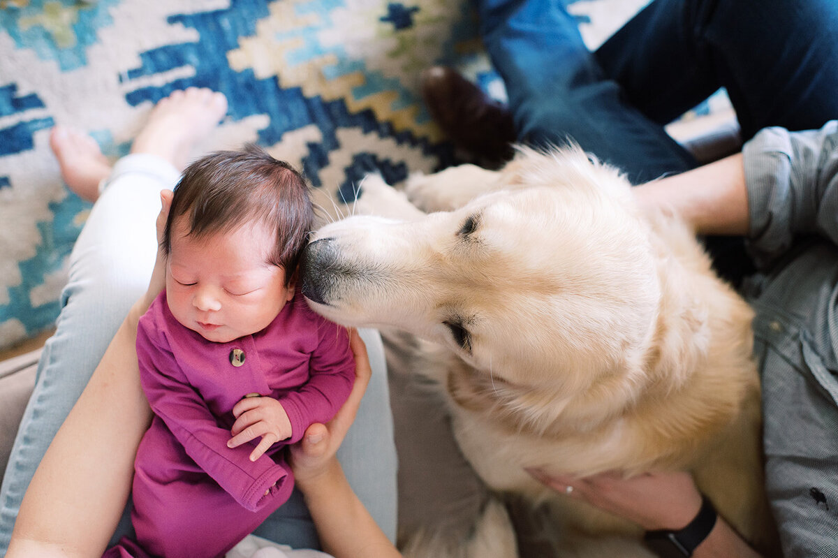 EleanorJoy-NewbornSession-KathrynIvyPhotography-2019-84