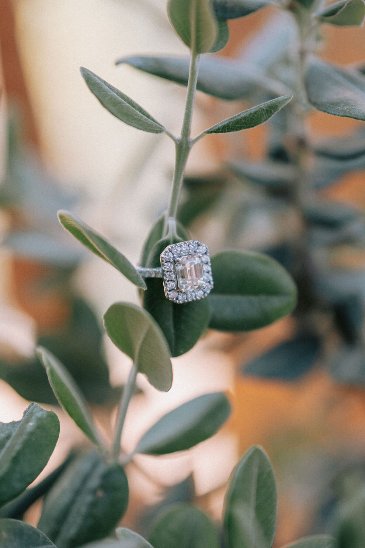 GinaAnthonyWedding-4