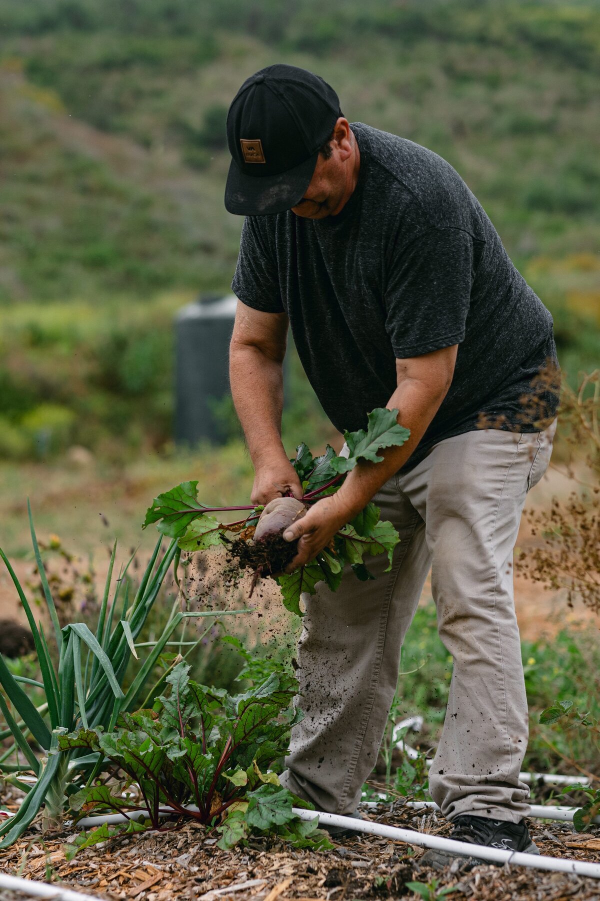 Leap-Lab-Science-Farm-Ventura-California-Santa-Paula-Non-Profit-0016