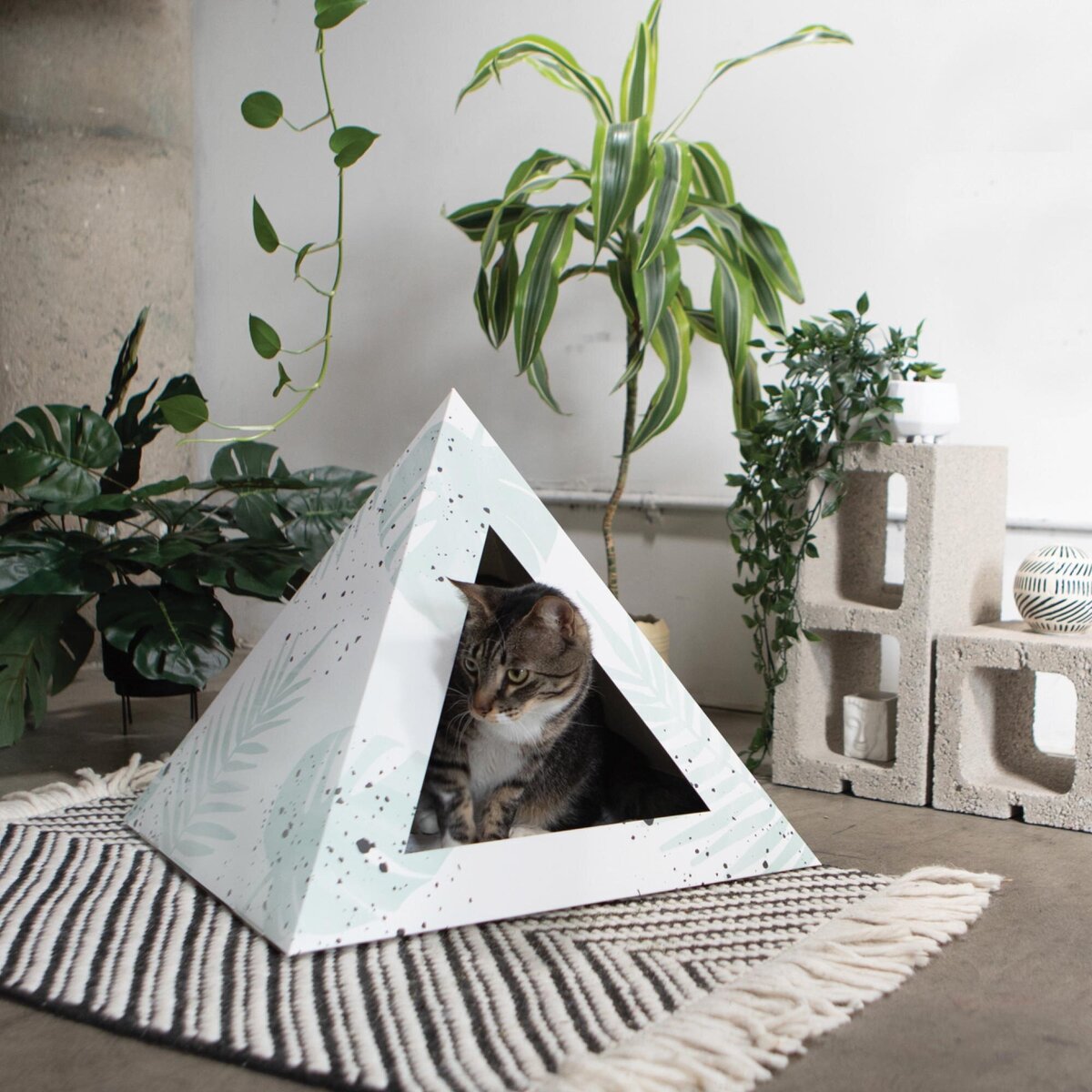 Rose-and-Palm-Studio_Portfolio_Kitty-Kardboard_Graphic-5