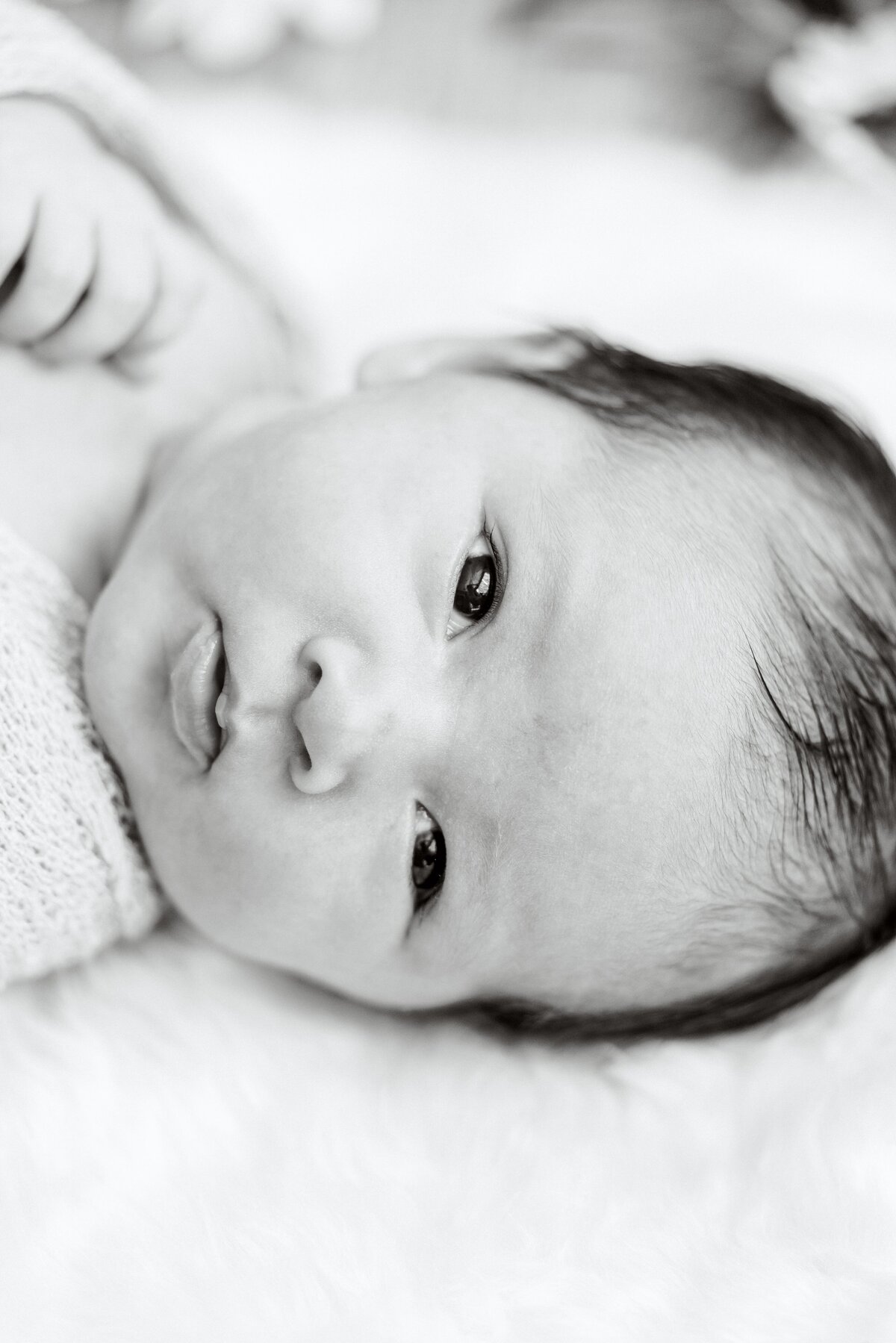 marelestrydom_bayarea_newborn_photographer_paloalto_0731