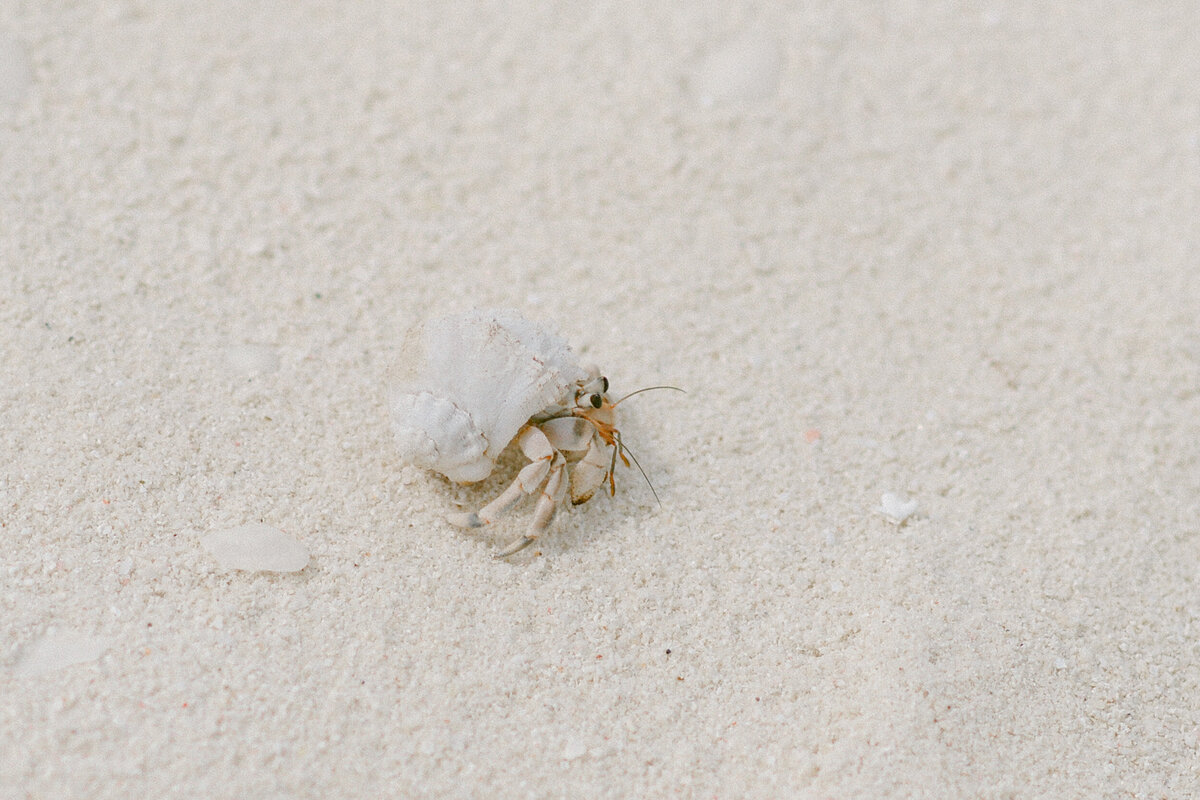 Wedding- Maldives-Photographer1-31