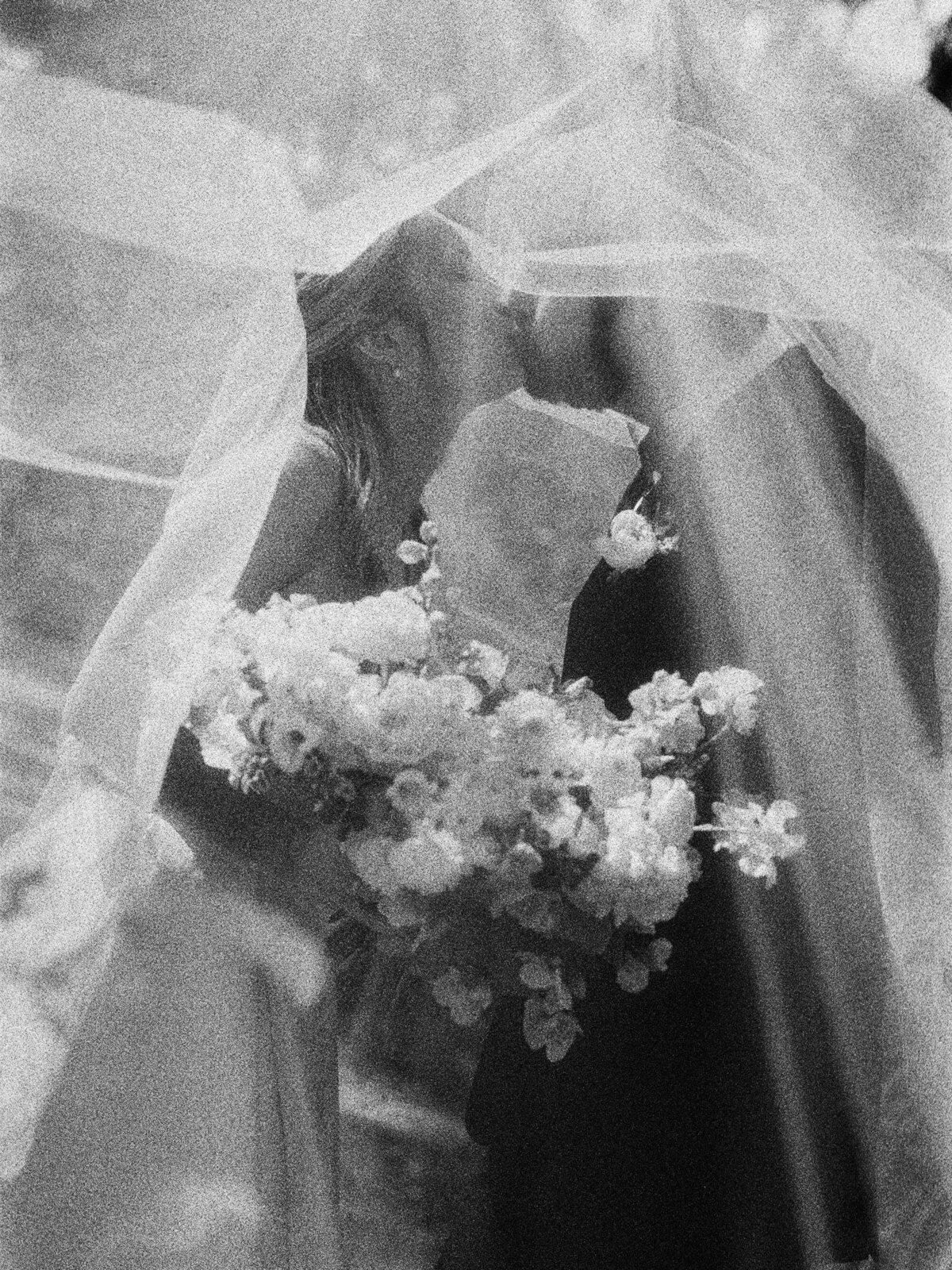 TheFlowers-SamanthaJeanBecker-002