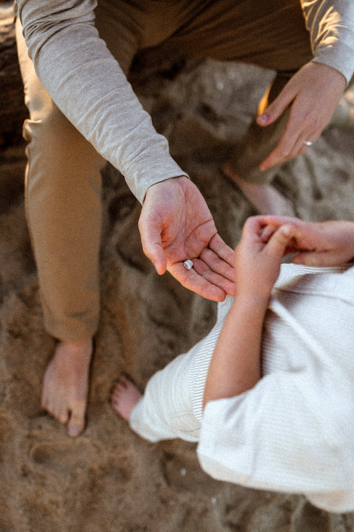 la family photographer 54