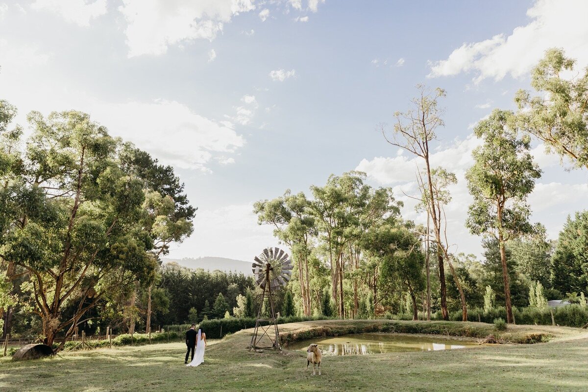 Elope-styled-micro-intimate-wedding-the-log-cabin-ranch42