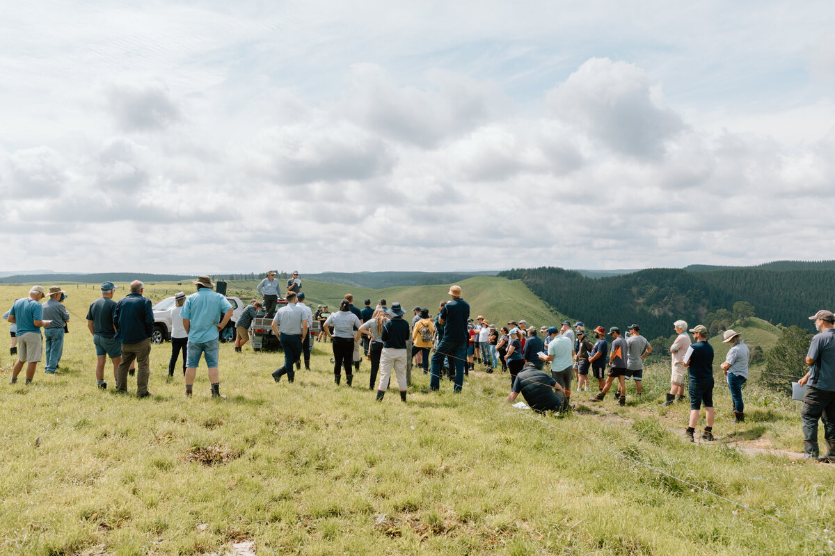 Forestry Fielday-0062