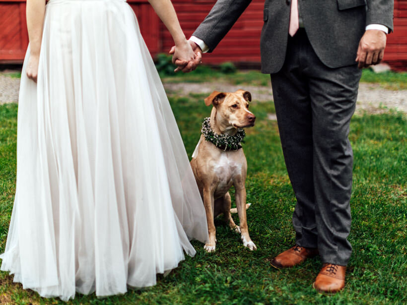 Wedding-Philly-NY-Ithaca-Catskills-Jessica-Manns-Photography_235