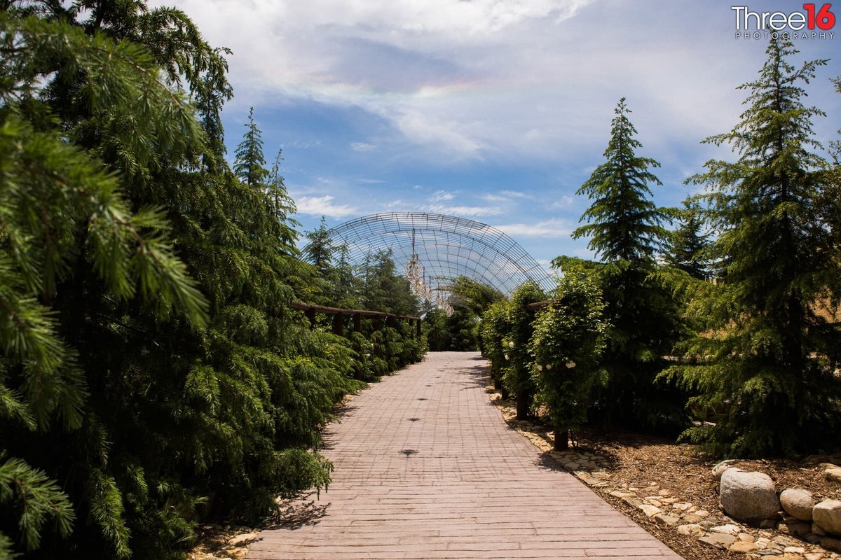 Brick path between the trees on the Serendipity Gardens property