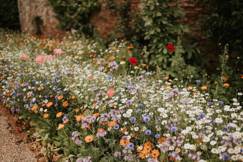 gardens at BROADFIELD COURT