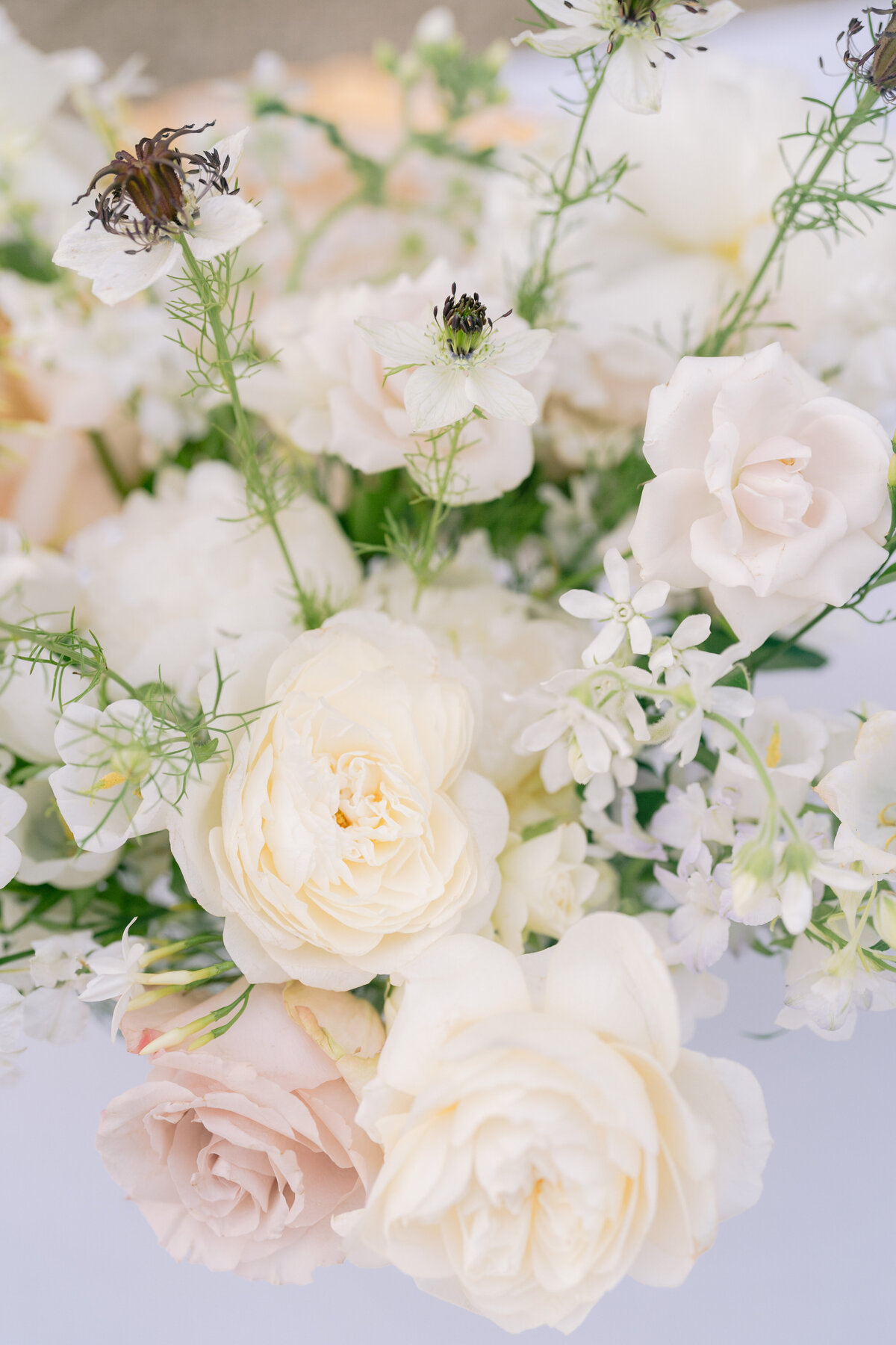 Kendal & Drew-494