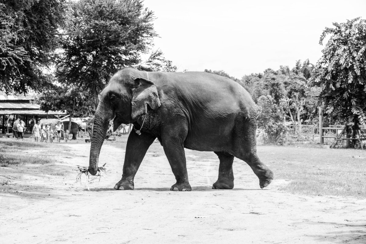 STUDIO JULLES X THAILAND TRAVEL 5