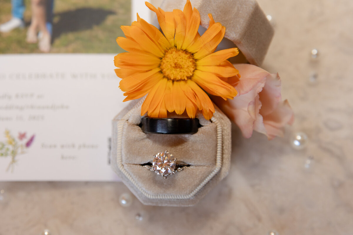 Rhia&John_ThousandAcreFarm_Delaware_Wedding_NikkiHalterPhotography-2-42