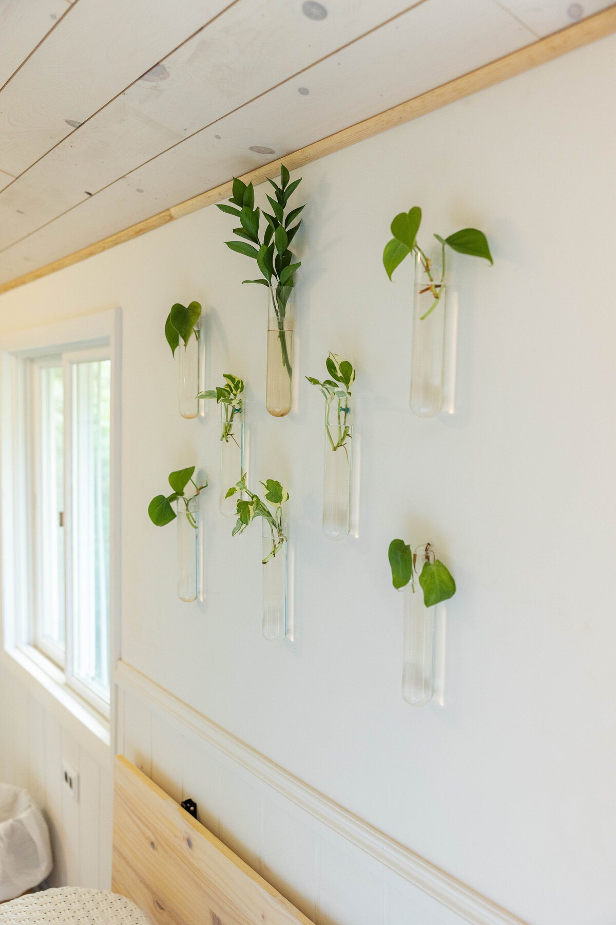 HNP_Green Cottage_171