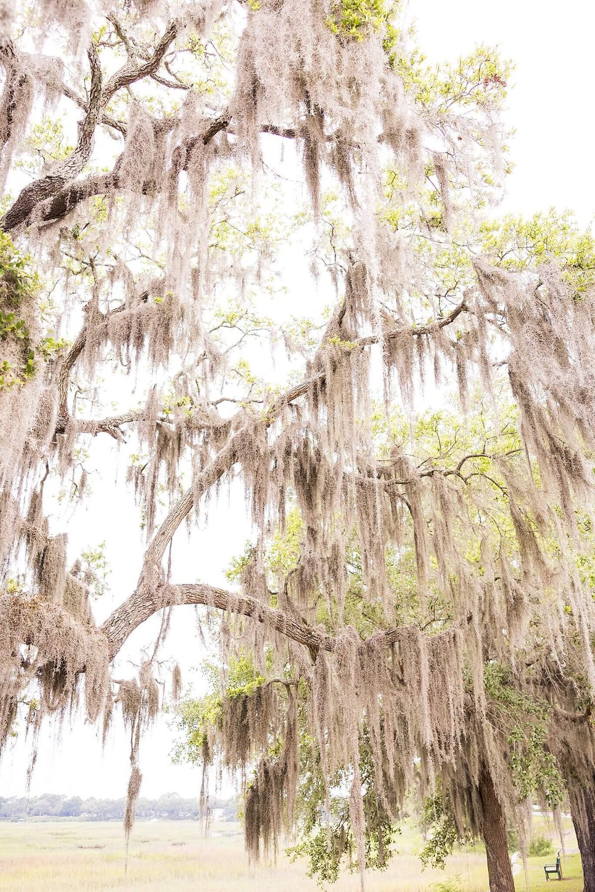 Beaufort-SC-Engagement-Photos_0511