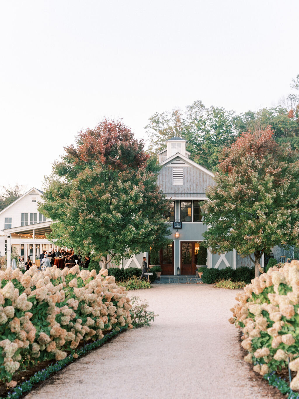 Jess&Christian_PippinHillWedding_SneakPeek-96