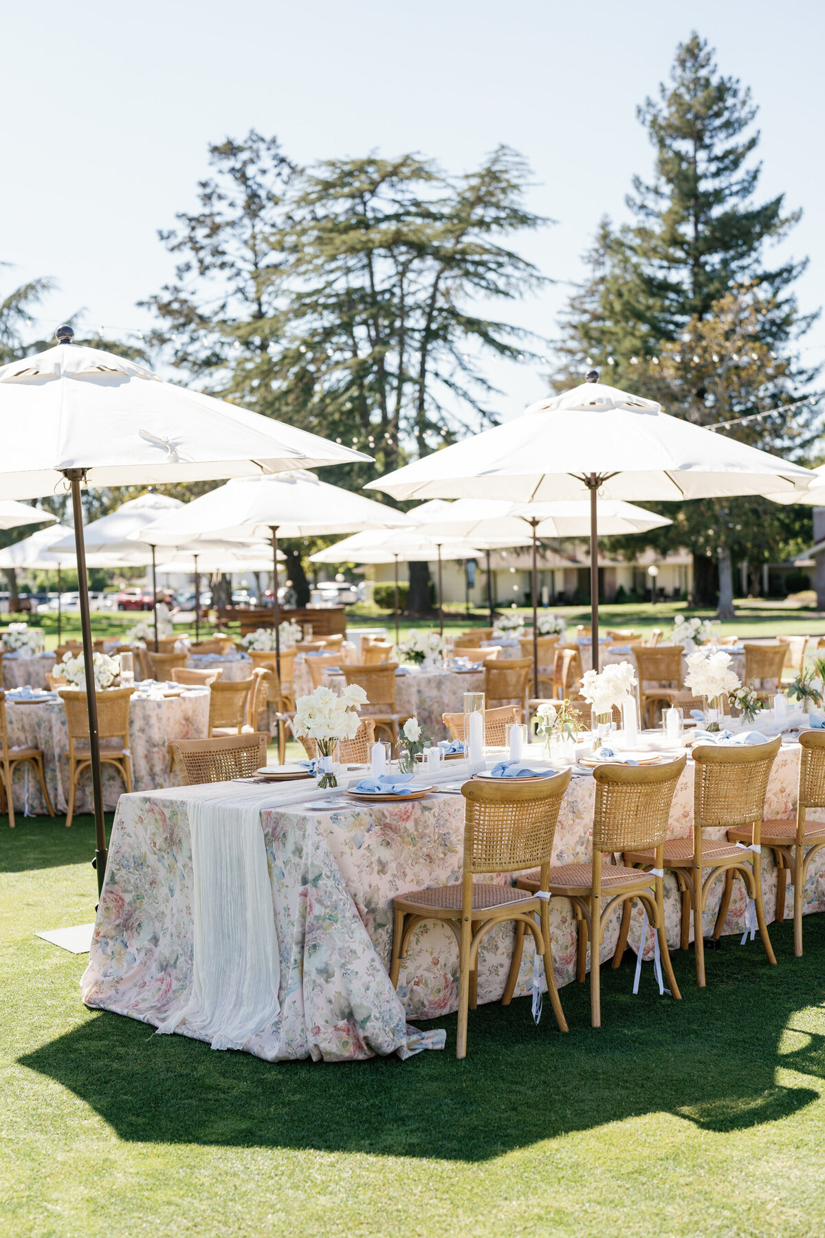 Laurel-Joseph-Previews-26