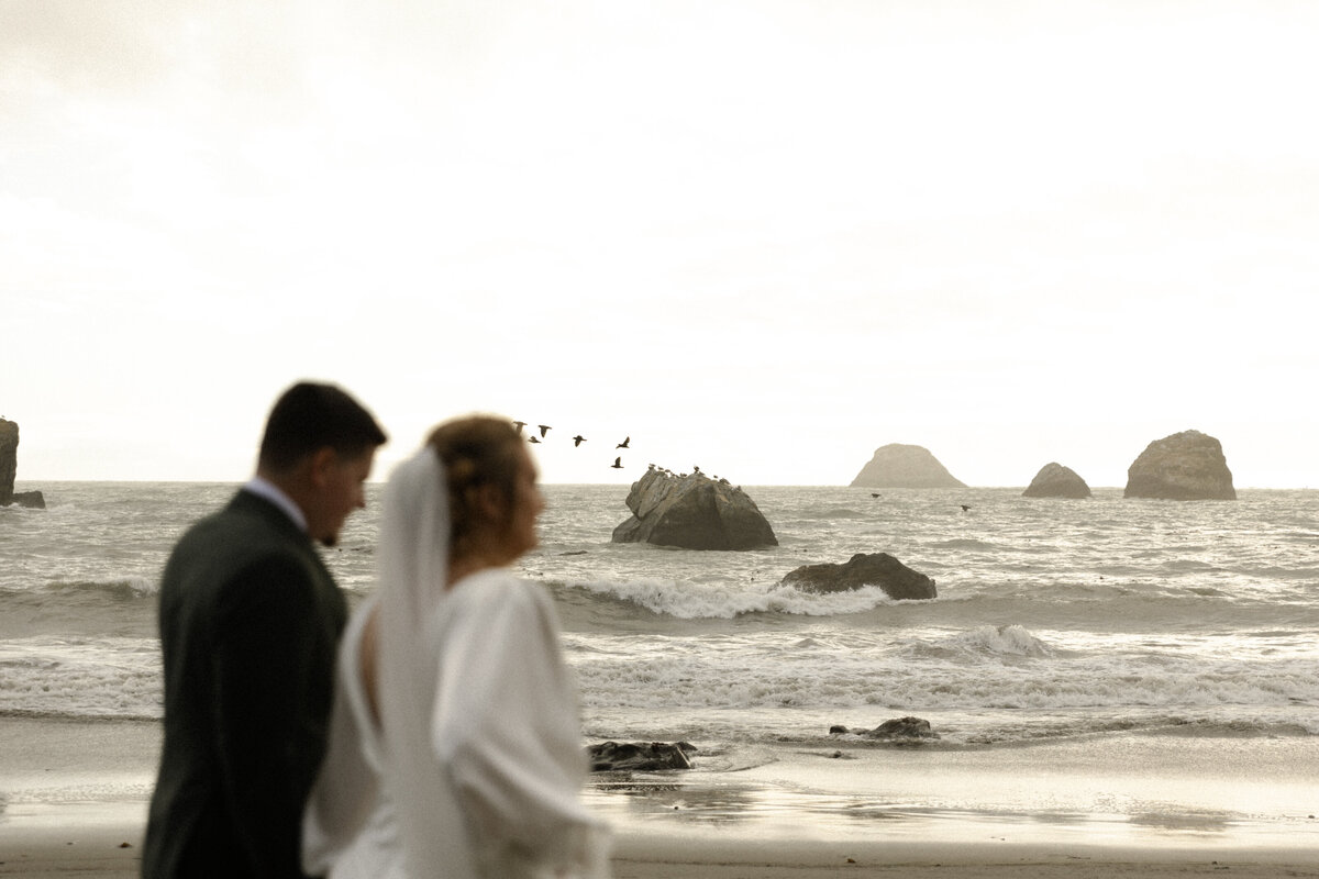 CaliforniaRedwoodsElopementPhotographer_DawnCaltonPhotography-28