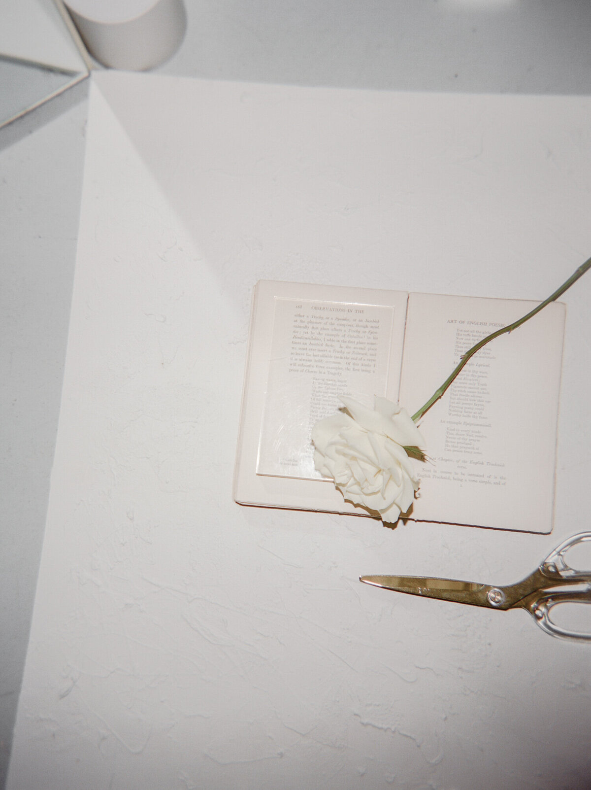 film flash brand photography in Michigan, editorial brand photos for Detroit florist Studio Terrain