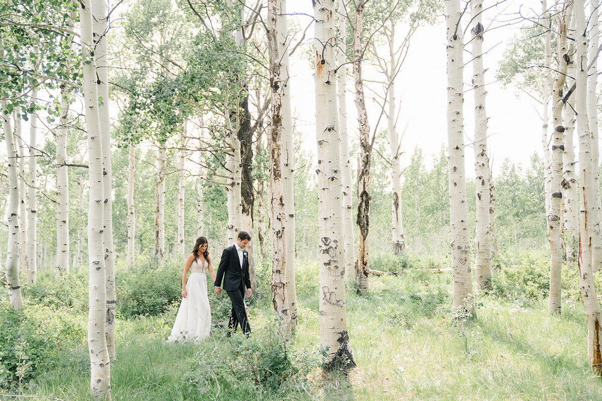 blue-sky-ranch-mountain-summer-utah-wedding-logan-walkerphoto-368L-1551