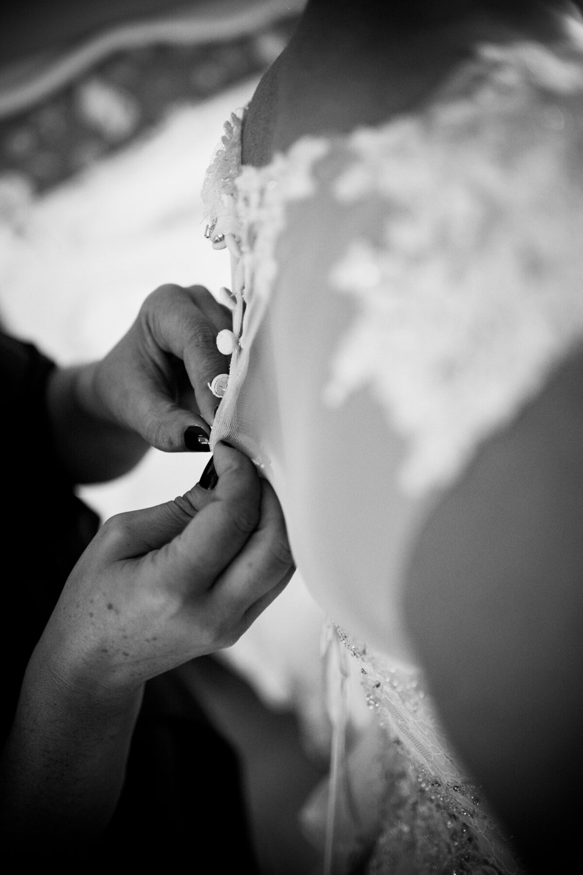 connecticut-wedding-photographery-best-ct-wedding-photographers-timeless-saltwater-farm-vineyard-wedding--5