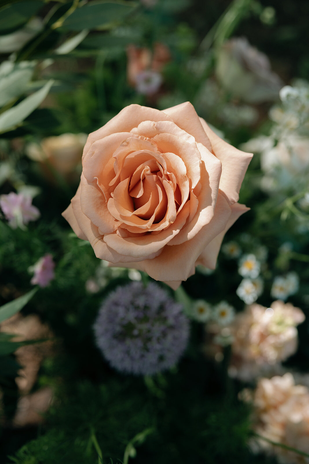 MargauxKevinWedding-656