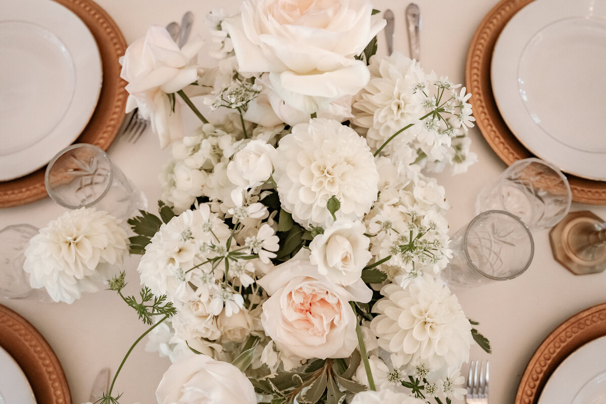 Buffalo NY and Rochester NY and WNY Wedding Photographer Finger Lakes region Wedding Photographer