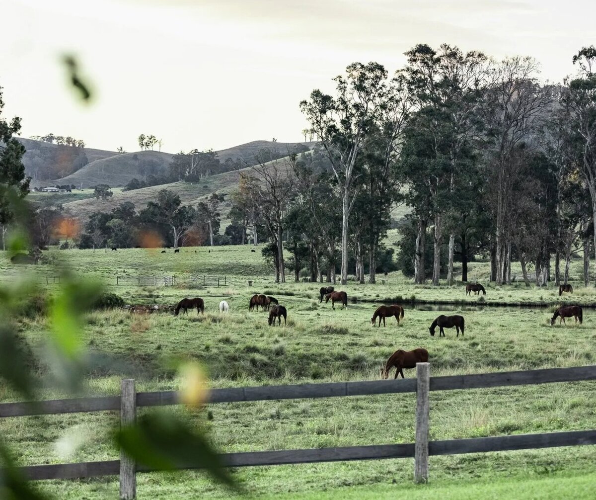 best airbnbs to elope at in NSW