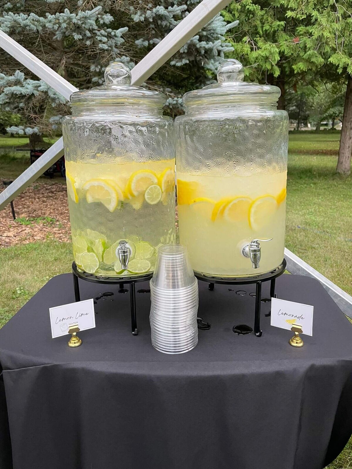 mobile_bar_ontario_hire_bartenders_event_wedding_bachelorette_party (9)